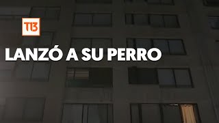 Tras discusión: sujeto drogado lanzó a perro desde el piso 12