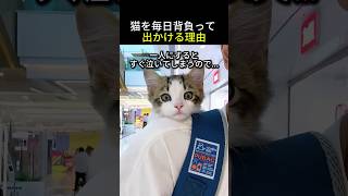 子猫を毎日背負って出かける理由が尊すぎる！