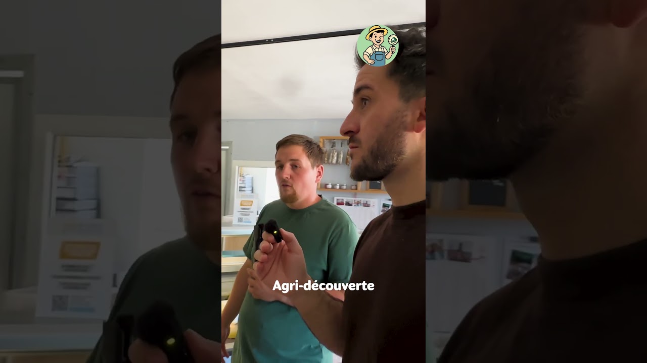 🥛 Du lait produit à la ferme… jusqu’aux yaourts vendus directement sur place.