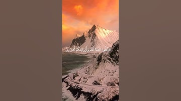 لا خوف عليكم اليوم #quran #المنشاوي #عبدالباسط_عبدالصمد #تلاوات #قرءان #القرءان_الكريم #ريلز