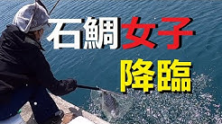 We Deliver Fishing And Underwater Images Mainly In Osaka Bay And Wakayama Unexpected Fish And Big Fish Please Take A Look At The Fun Fishing And The Beauti