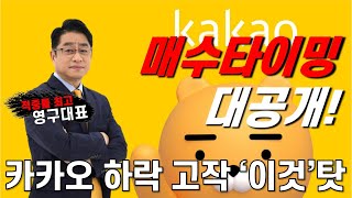 다시 떨어지는 카카오 주가, 쫄지말고 '이 가격 오면' 매수!!