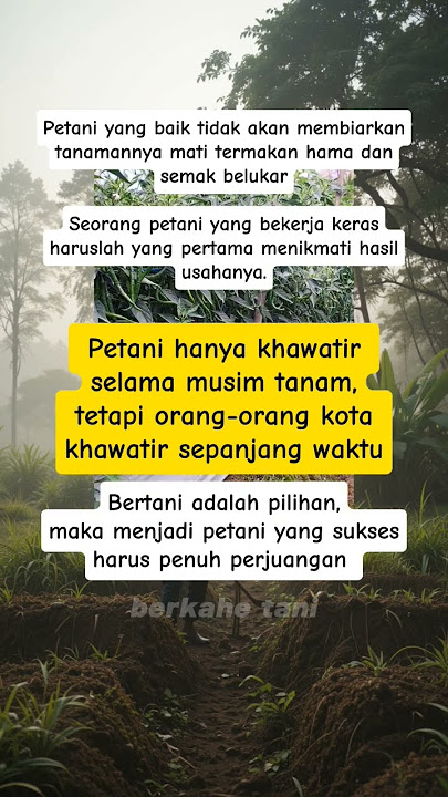Download lagu Kata Kata Seorang Petani #petani #motivasi #katakatabijak #shorts