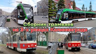 Сборник трамваев города Калининград в 3-х местах. Корсары и Татры