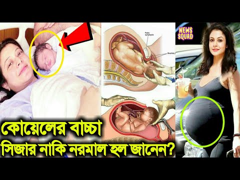 ভিডিও: কোয়েল দিয়ে কীভাবে 