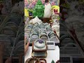 Cảnh nổi bật từ buổi phát trực tiếp