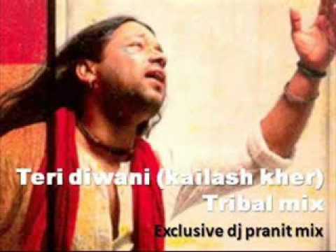 Teri Diwani (kailash Kher) Tribal mix - dj pranit