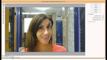 Using the Liquify tool in Photoshop Elements 11.0