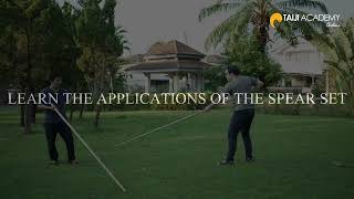 Yang Family Thirteen Big Spear Online Course