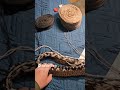 Lapopeysa Part 2 #handmade #knitting #man #Iceland #plötulopi #YarntasticMatt #first #time #howto