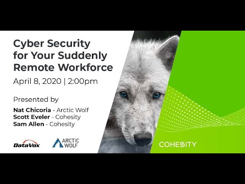 Cyber Security for your Remote Workforce - DataVox Webinar with Arctic ...