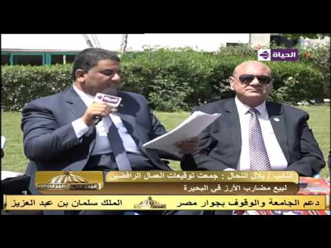 عين على البرلمان النائب بلال النحال يجمع توقعات من العمال الرافضين لبيع مضارب الأرز بالبحيرة