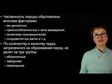 Козина Е.А. Основы разведения с.х. животных