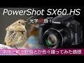 [ 光学65倍ズーム ] PowerShot SX60 HS を買って野鳥とか撮ってみた！