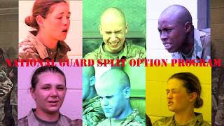 Full Gas Chamber Day 13 Update