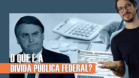Como é composta a dívida pública?