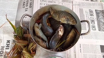 Cách làm món Cá Lóc nổ muối, chấm muối ớt siêu ngon# KhoiBepVlog.