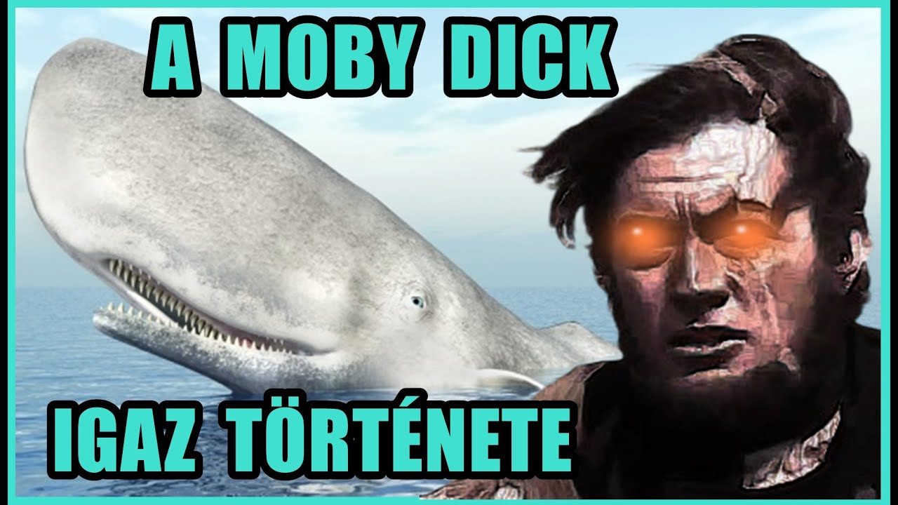 A MOBY DICK IGAZ TÖRTÉNETE - ALBÍNÓ CETEK, BÁLNÁK, MOCHA DICK, ÉS EGYÉB ÉRDEKESSÉGEK