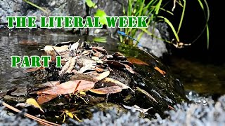 Patriarchs and Prophets (9), Chapter 3, The Literal Week