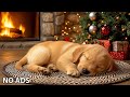 12 Hours Chilling Dog Music🎵Relaxing Sleep Music for Dogs🐶Dog Calming Music💖No Ads