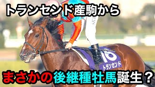【速報？】トランセンドから後継種牡馬が出現！？