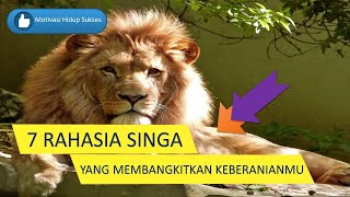 7 Prinsip Hidup Sukses dan Bahagia (Video Motivasi) | Rahasia Singa yang Membangkitkan Keberanian