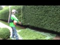 hedge trimming an 80 yard