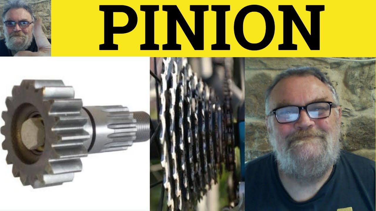Pinioned Definition 🔵 Pinion Meaning - Pinion Examples - Pinion Definition - Pinion ...