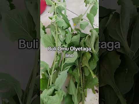 EDAGALA ELYAMBULULA WAMU NEKYOGO WEBIRI 0740732308