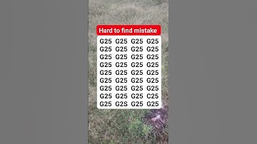 Hard to find mistake #brainteaser #search #find #shortvideo