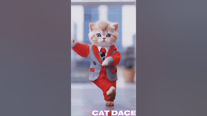 Dance cat #rap #funny #saemy #gullykahero #alluarjun #cat #trending