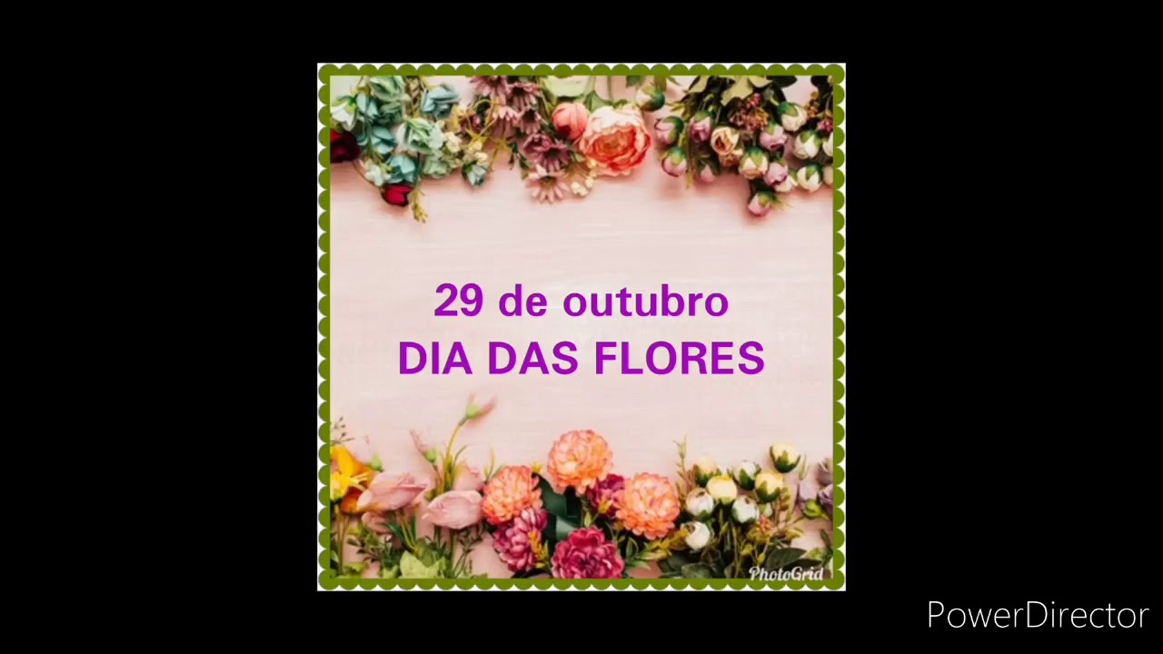 29 de outubro - DIA DAS FLORES - thptnganamst.edu.vn