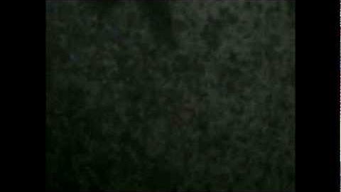 The Pattern Theory - Coracles