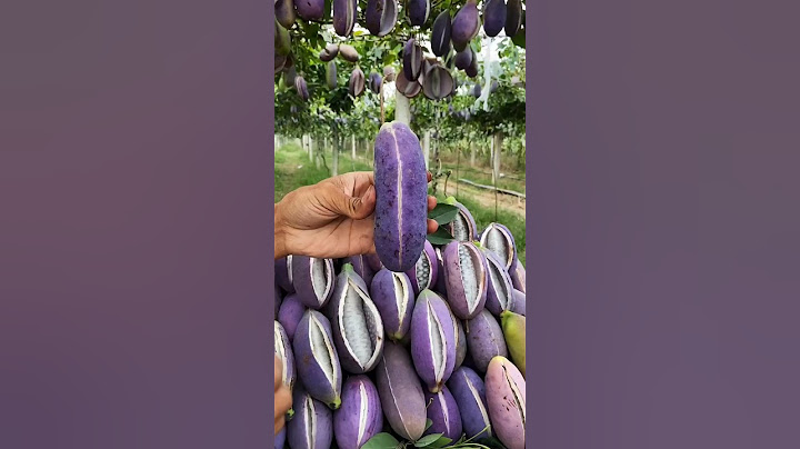 Enjoy Beautiful Unique Fruits
