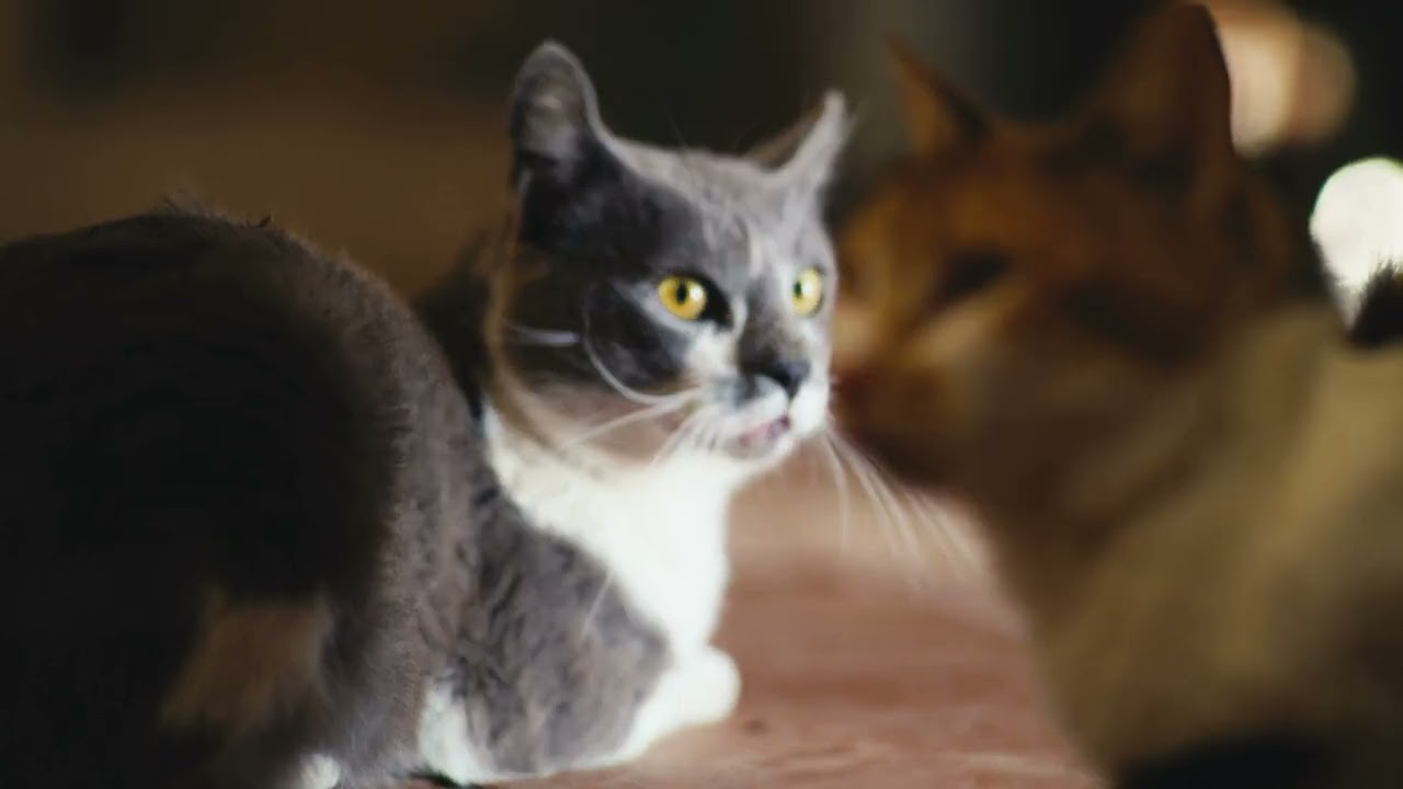 Pixel lover - Kisi Kisi