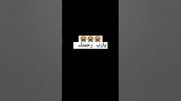 إنه القران الكريم نور القلوب