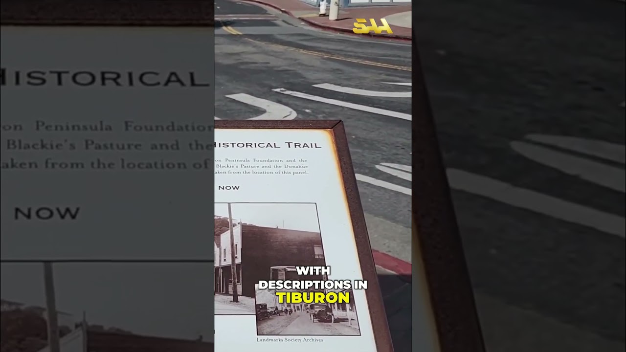 Tiburon Downtown: Exploring Main Street's Hidden Gems! 