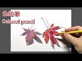 絵画 もみじの葉　色鉛筆 絵画 もみじの葉 色鉛筆 絵画 もみじの葉 色鉛筆 古めかし