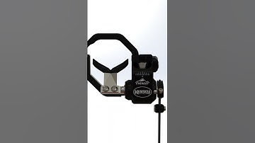 The Everest Integrate