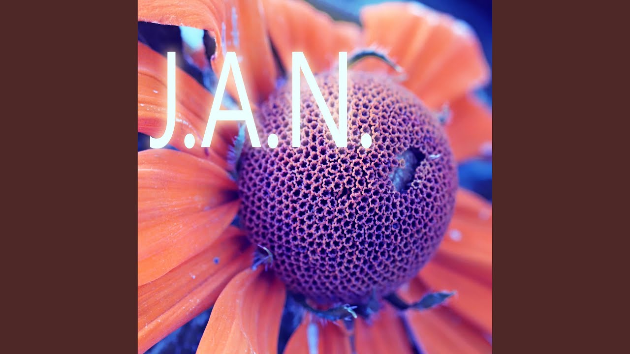 Watch J.A.N on YouTube Watch J.A.N on YouTube
