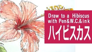 水彩絵の具のパステルのイラスト 描き方 制作過程 ハイビスカス How To Draw A Hibiscus Youtube