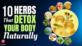 10 Herbs That Detox Your Body Naturally Healing Herbs Medicinal Herbs Blissed Zone