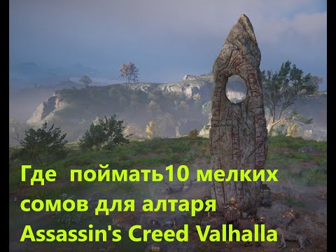 Где найти мелких сомов для алтаря   Assassin's Creed Valhalla