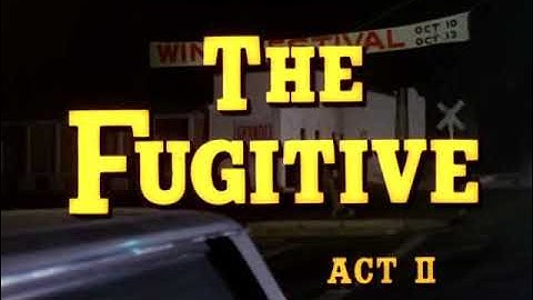 🔥The Fugitive – The Greatest Manhunt in TV History! David Janssen | Wine is a Traitor