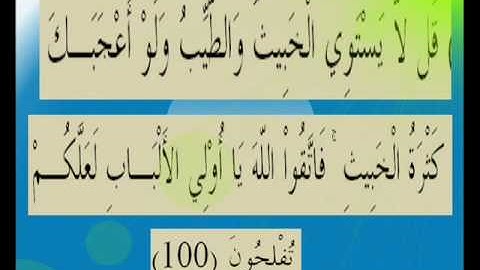 القران الكريم سورة المائدة الأية 100.wmv