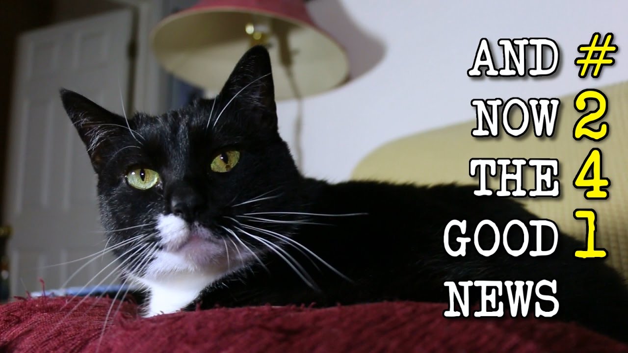 And Now the Good News #241: 5/16/2017 - YouTube