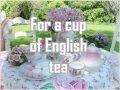 English Tea Paul McCartney Lyrics