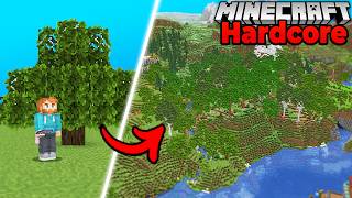 I Transformed an Oak Forest in Hardcore Minecraft Survival