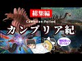 【睡眠用・ゆっくり解説】カンブリア紀　カンブリア爆発/ハルキゲニア/アノマロカリス　など【途中広告なし】