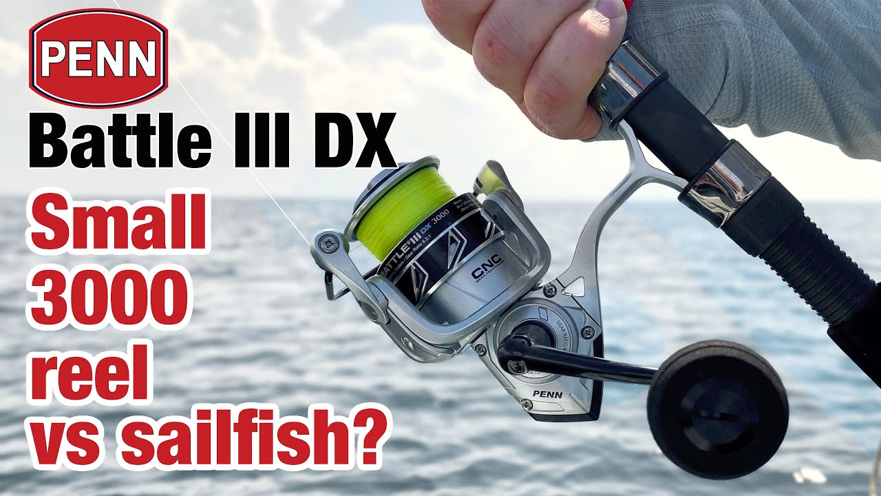 Small Penn Battle 3 DX vs Sailfish 